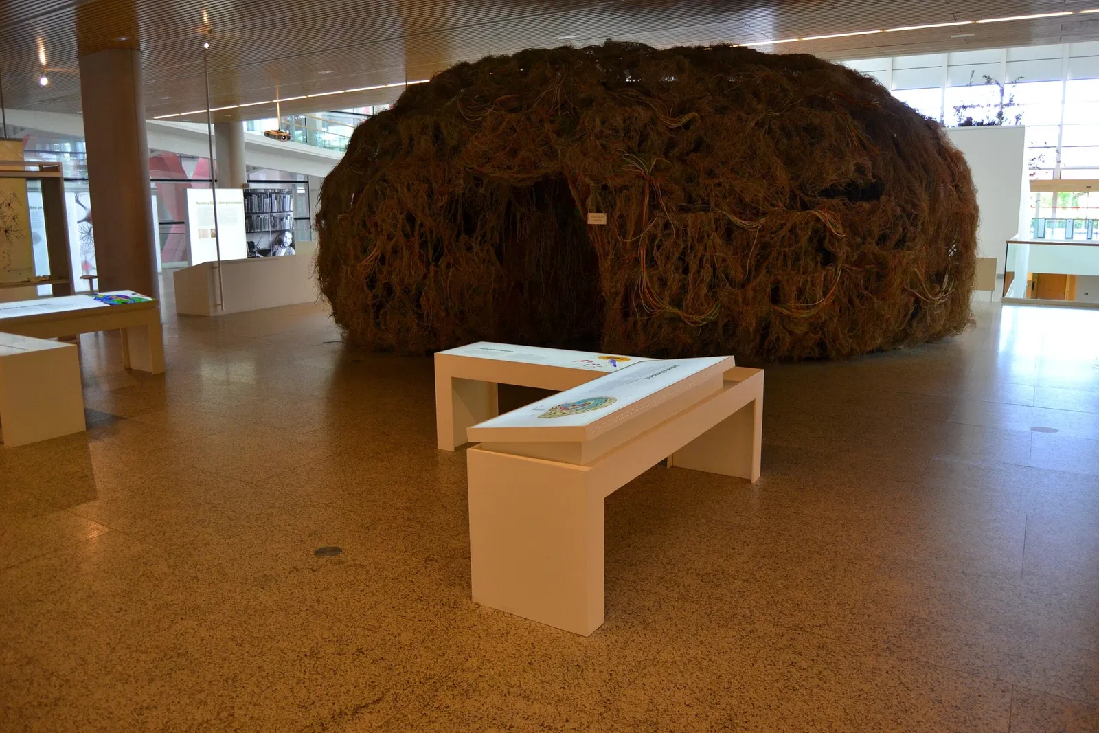 Museo de la Evolución Humana