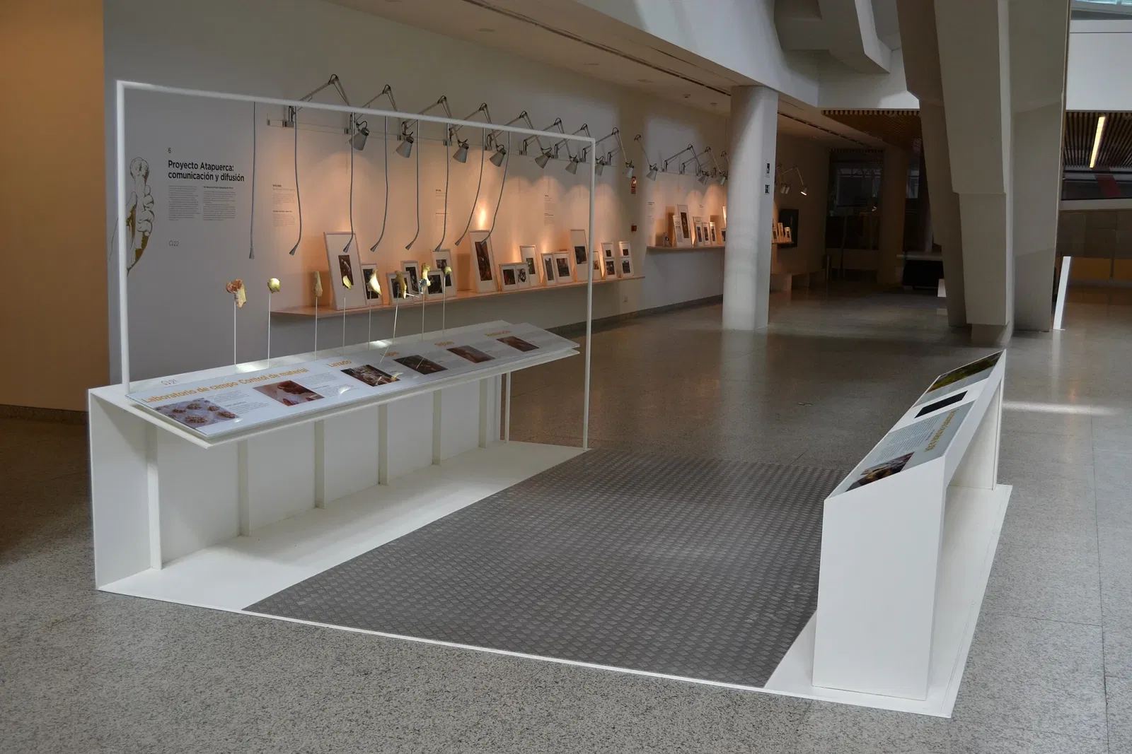 Museo de la Evolución Humana