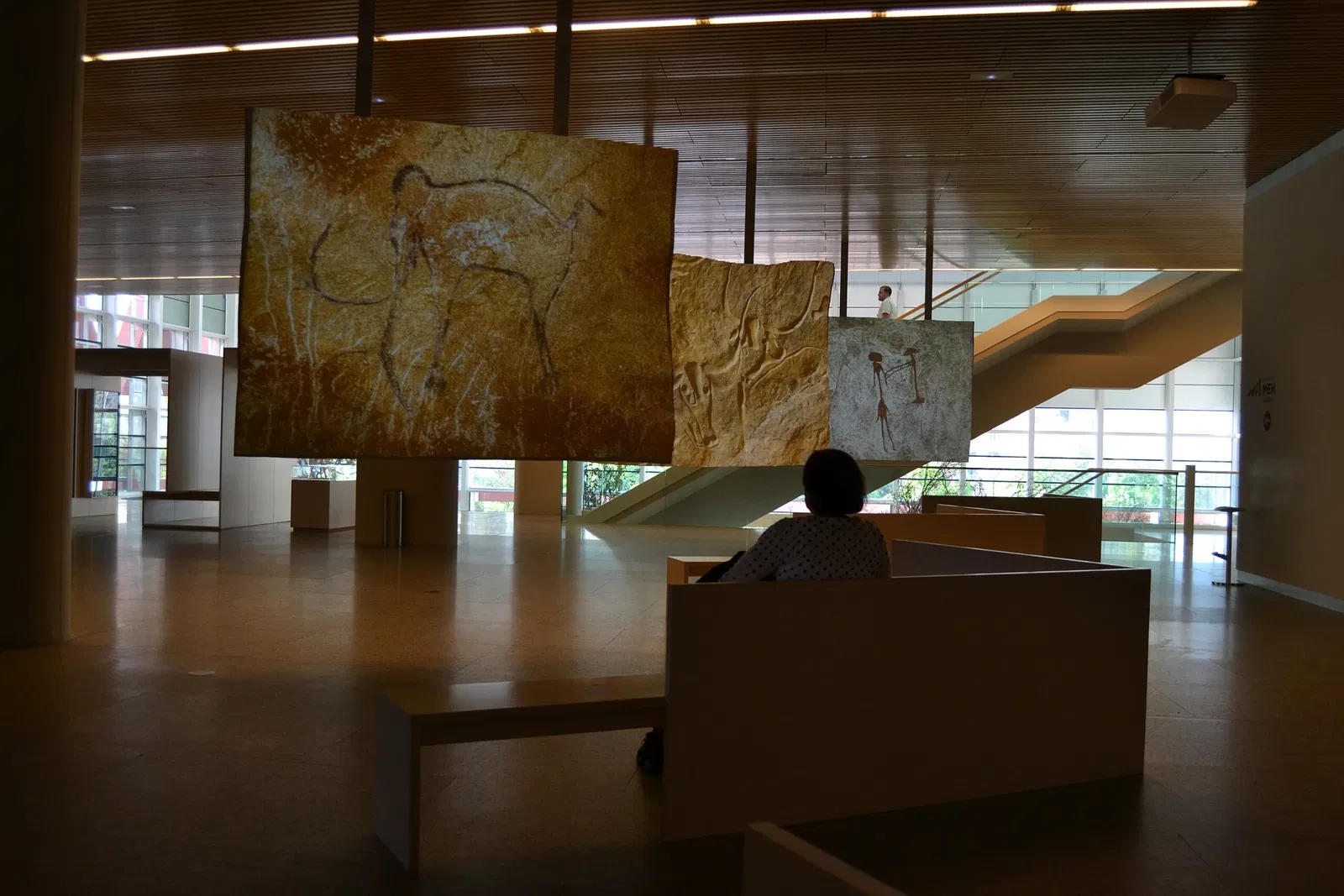 Museo de la Evolución Humana