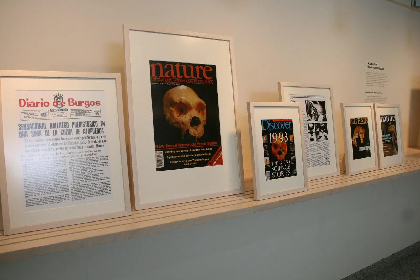 Museum of Human Evolution