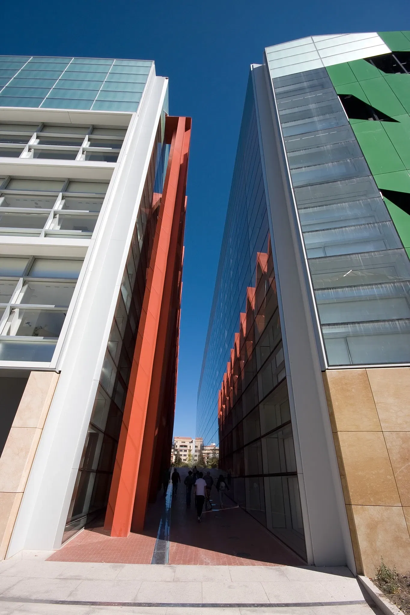 Musée de l'Évolution humaine