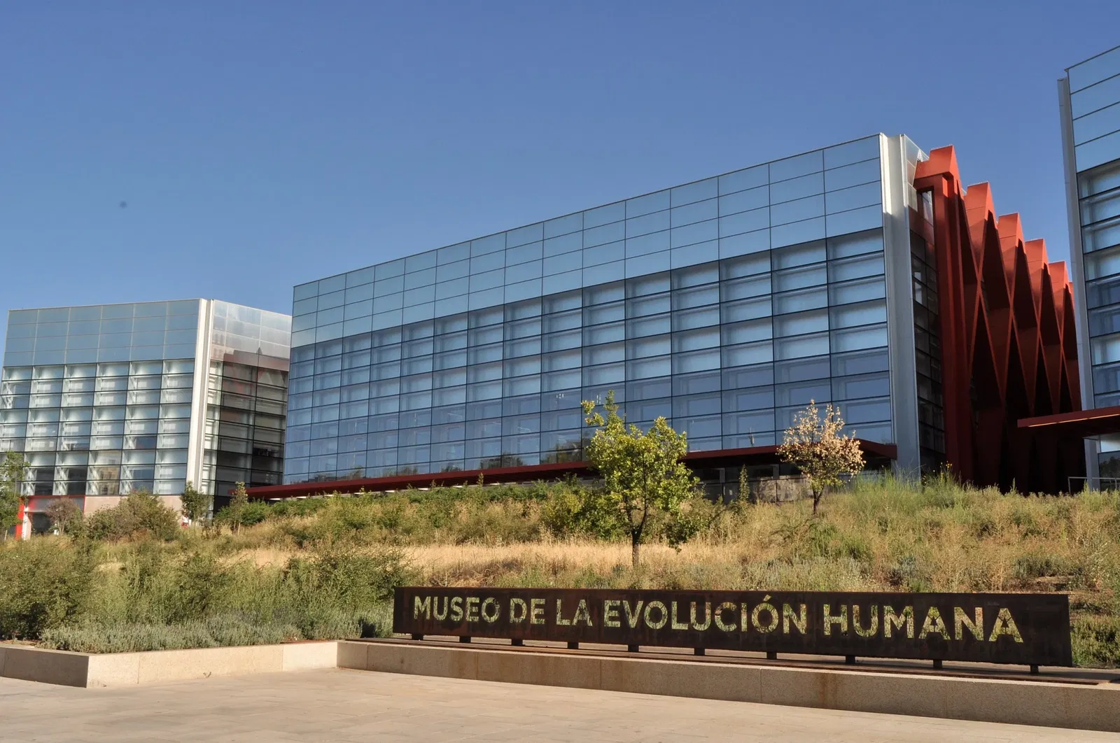 Musée de l'Évolution humaine