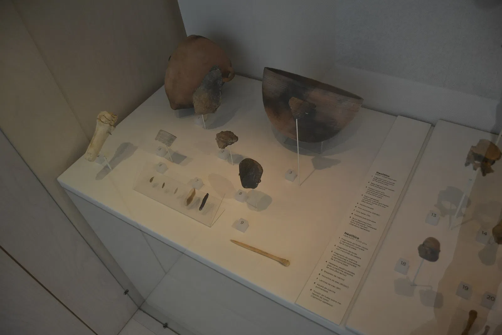 Museum of Human Evolution