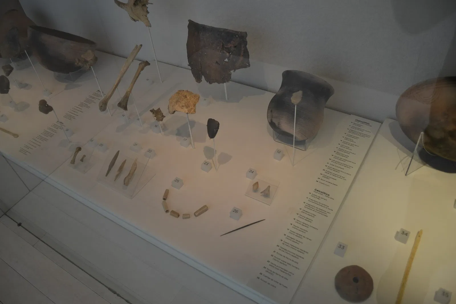 Musée de l'Évolution humaine