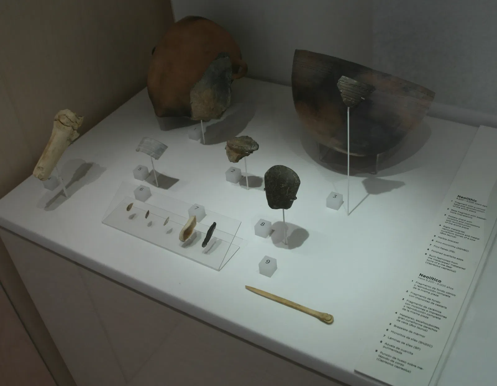 Musée de l'Évolution humaine