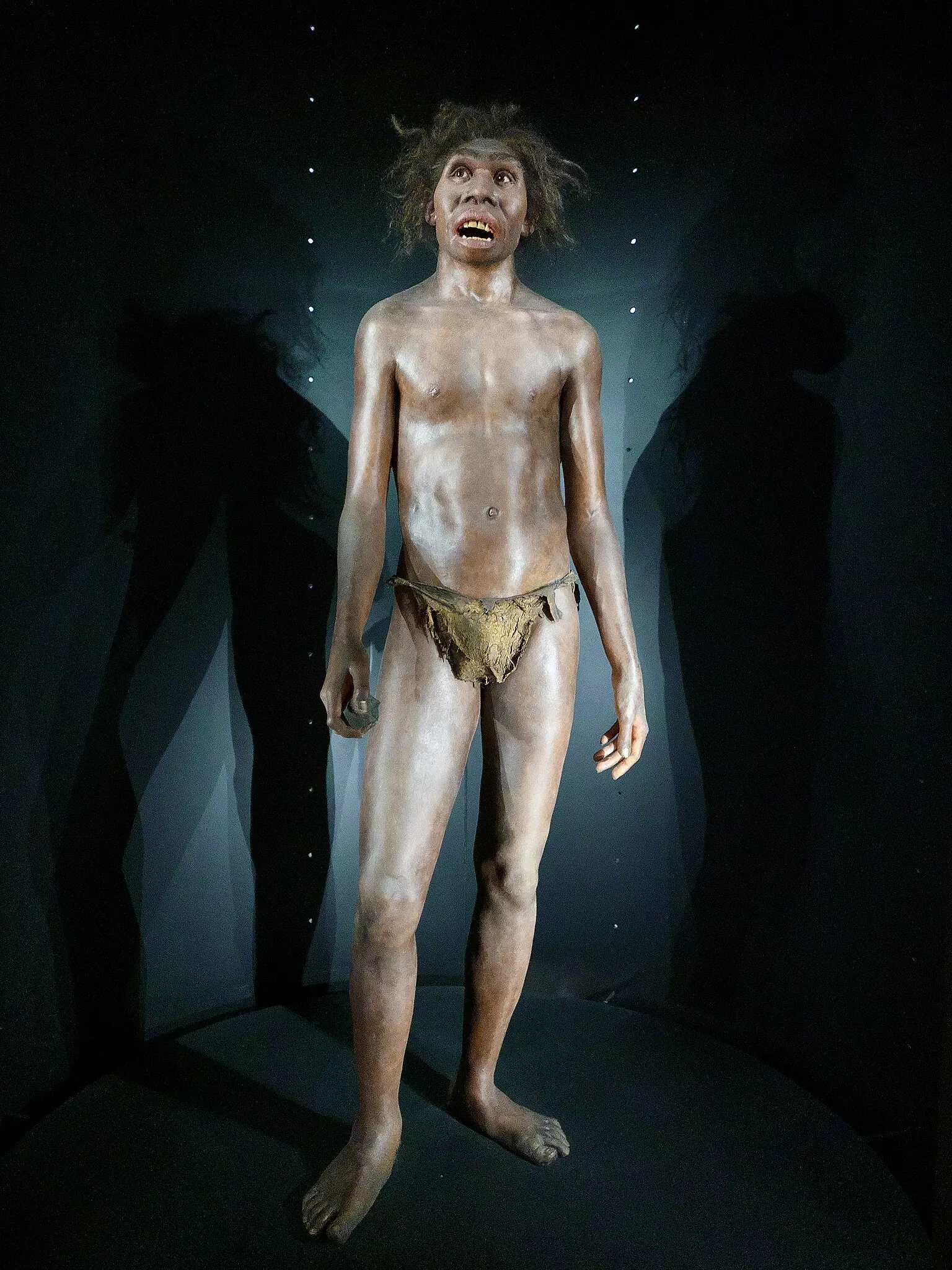 Museum of Human Evolution