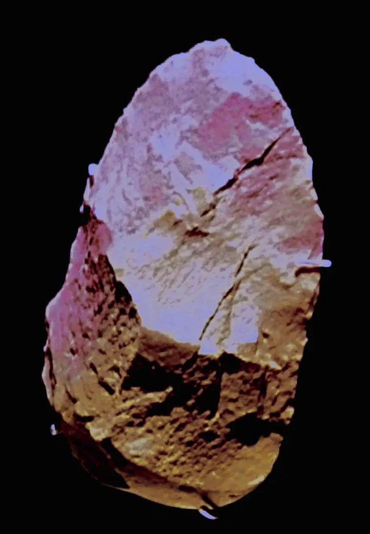 Museo de la Evolución Humana