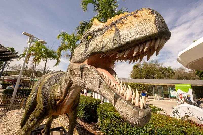 Dinos entre nosotros