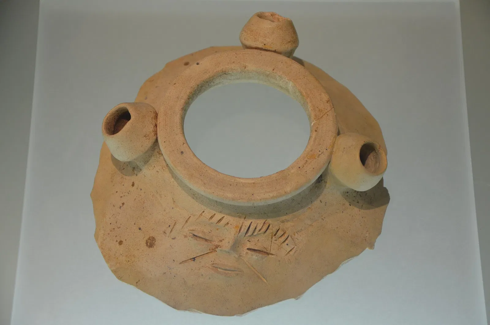 Museum Schloss Fechenbach