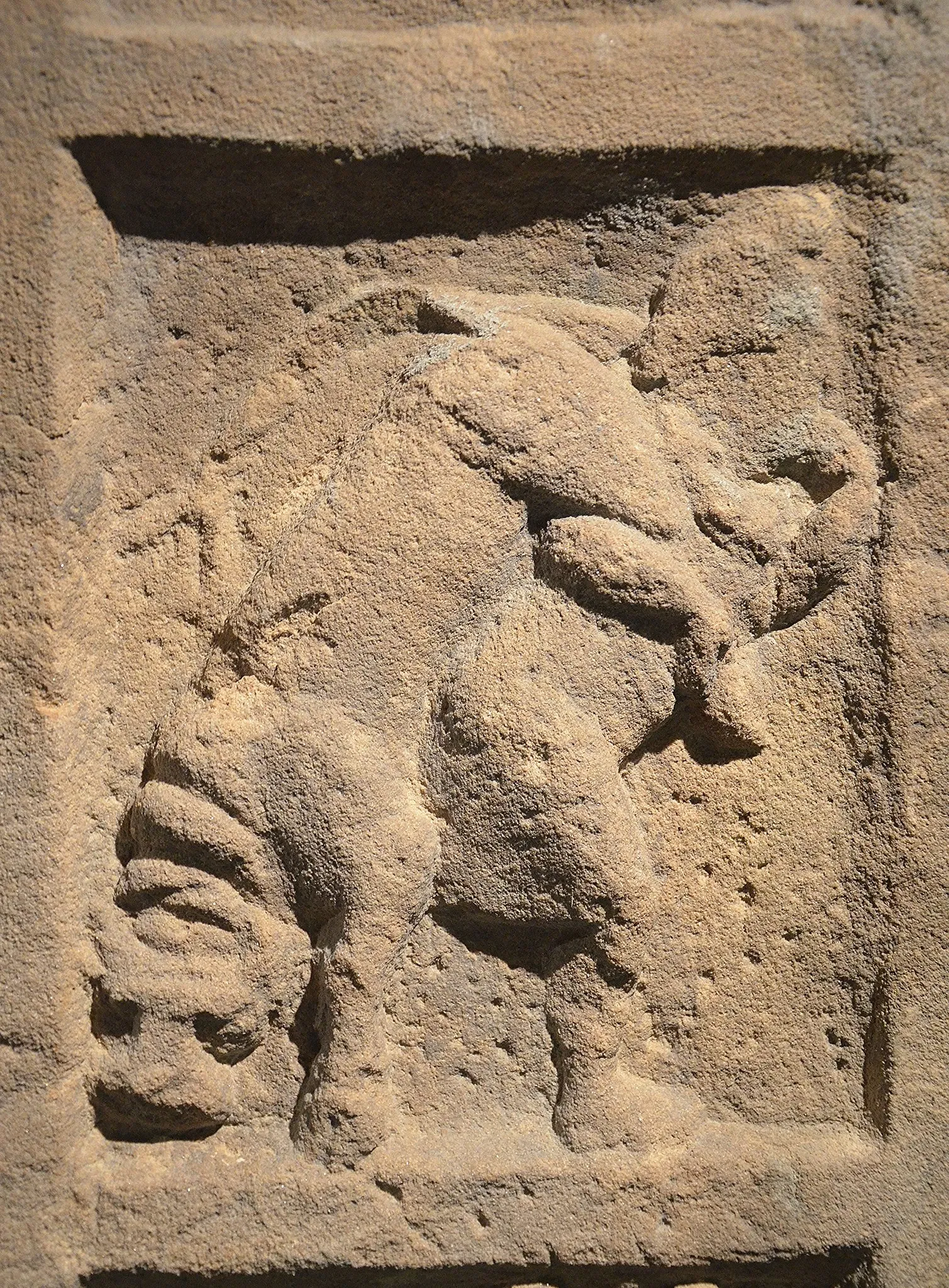 Museum Schloss Fechenbach