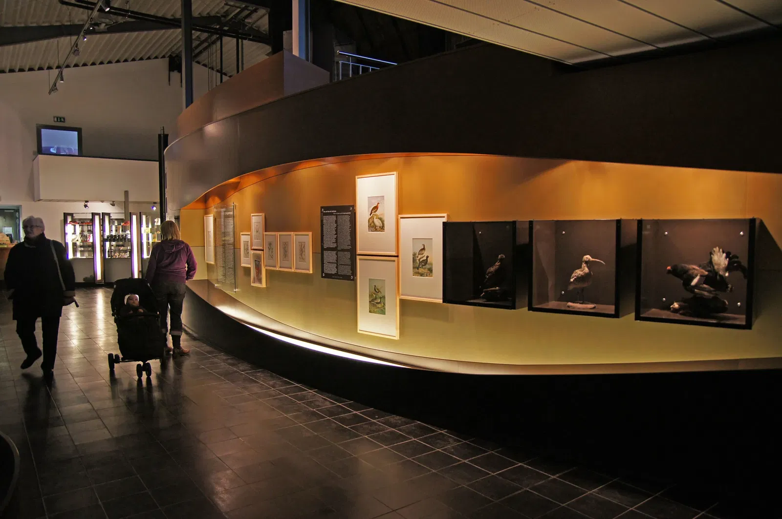 Emsland Moormuseum