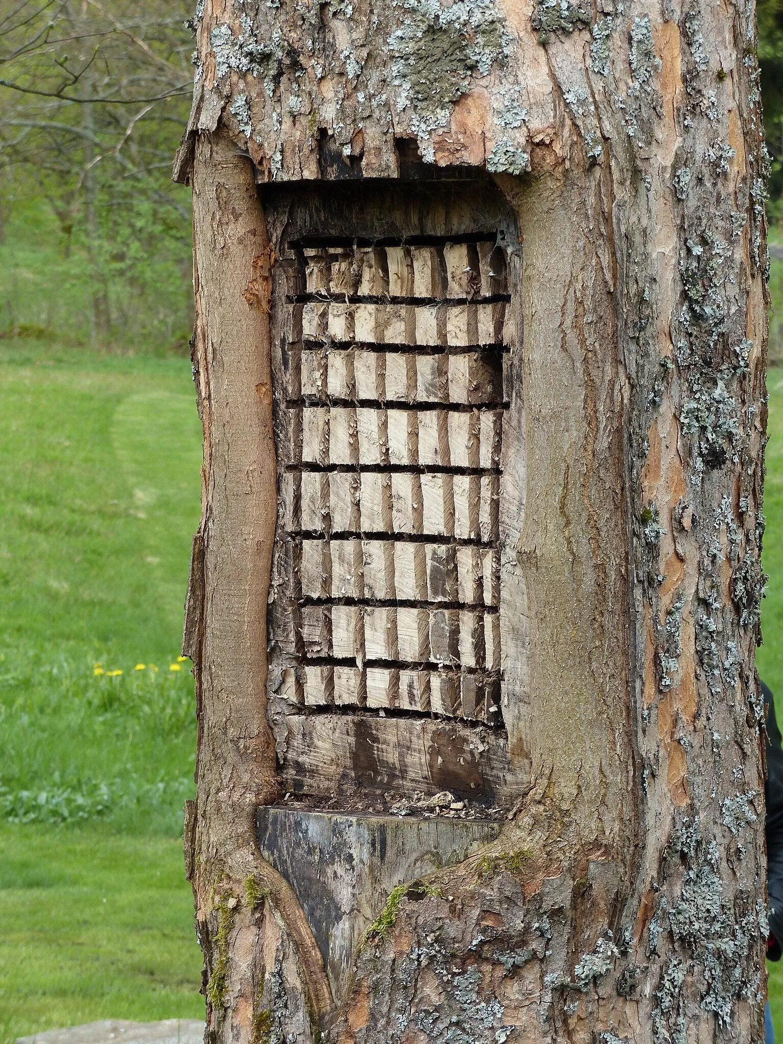 Freilandmuseum Grassemann