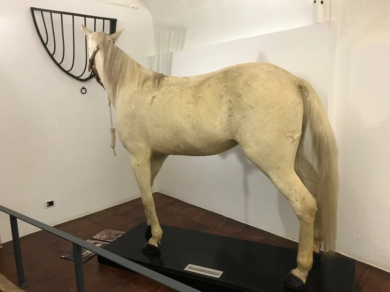 Maison-musée château Gala Dalí