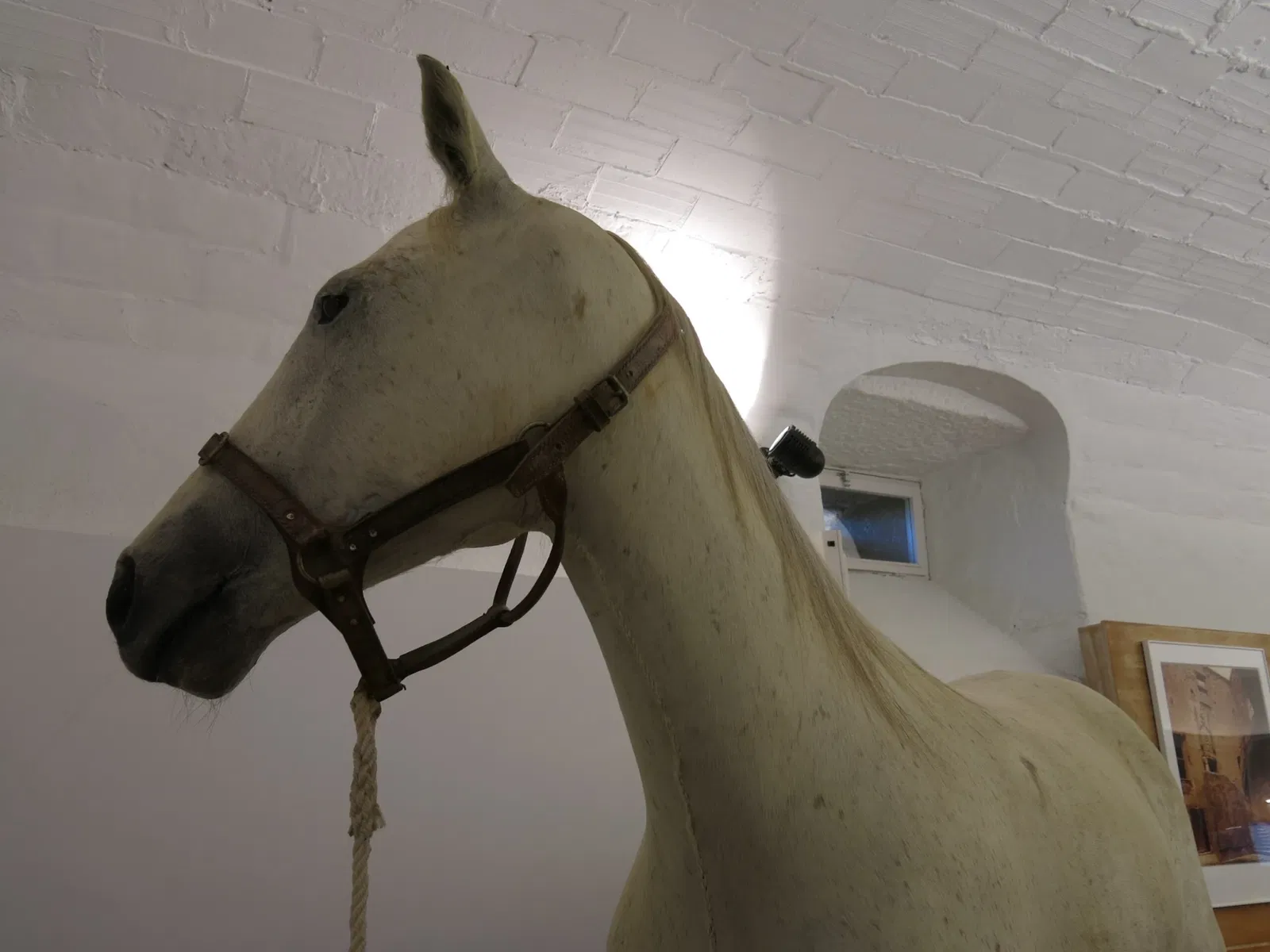 Maison-musée château Gala Dalí