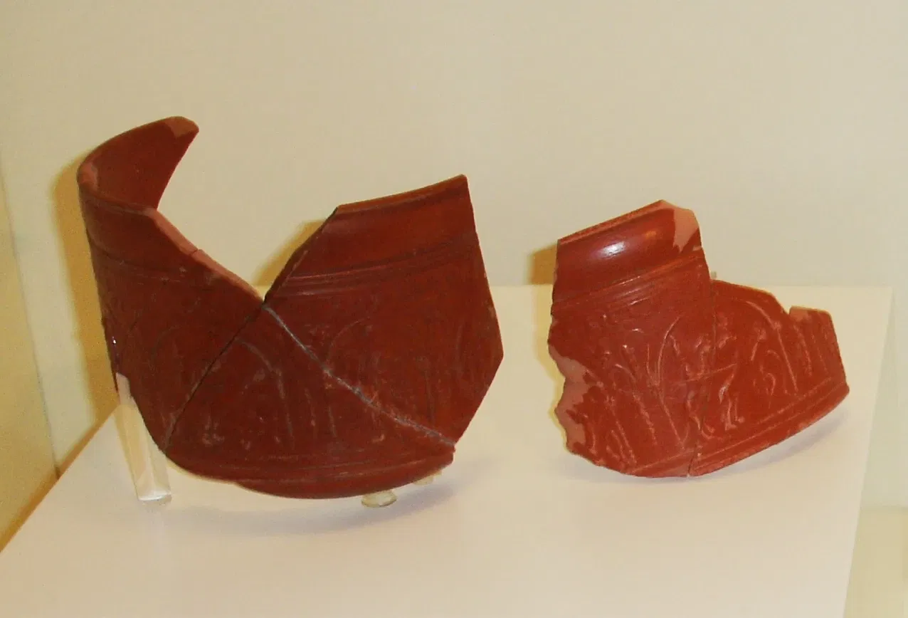 Julióbriga Ciudad Romana y Museo Domus