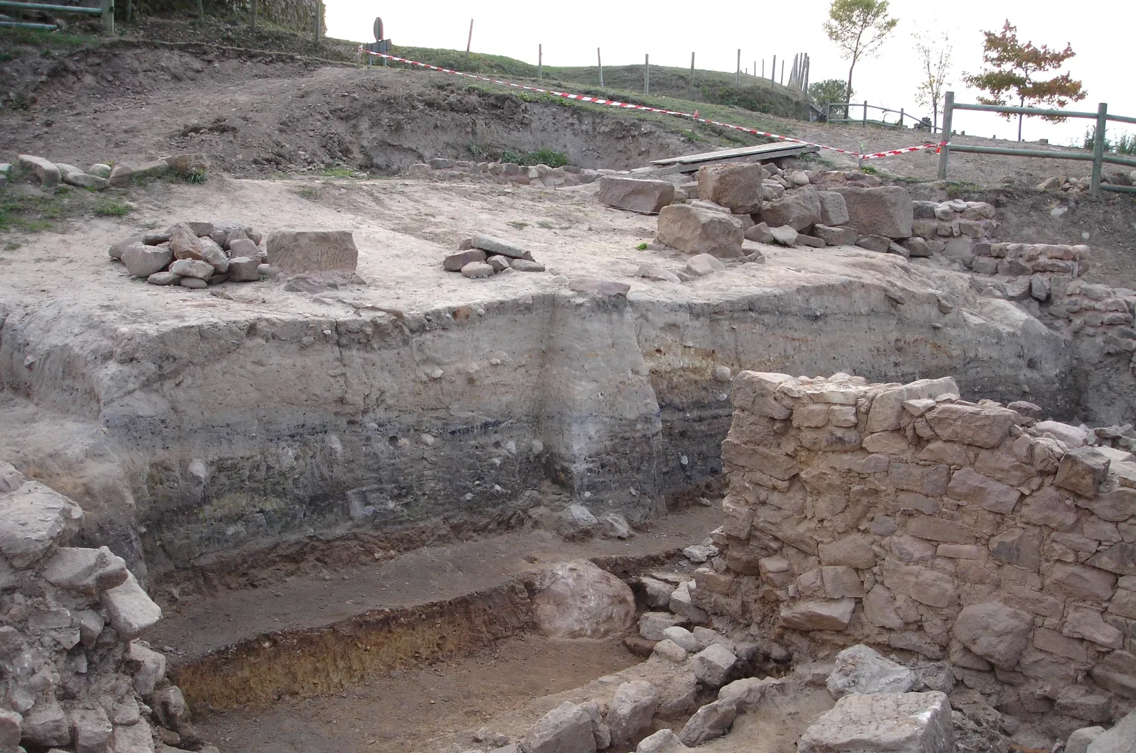 Julióbriga Roman City and Domus Museum