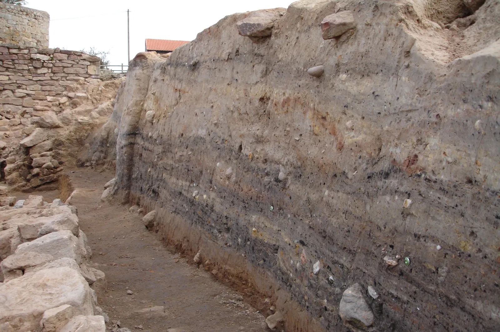 Julióbriga Roman City and Domus Museum