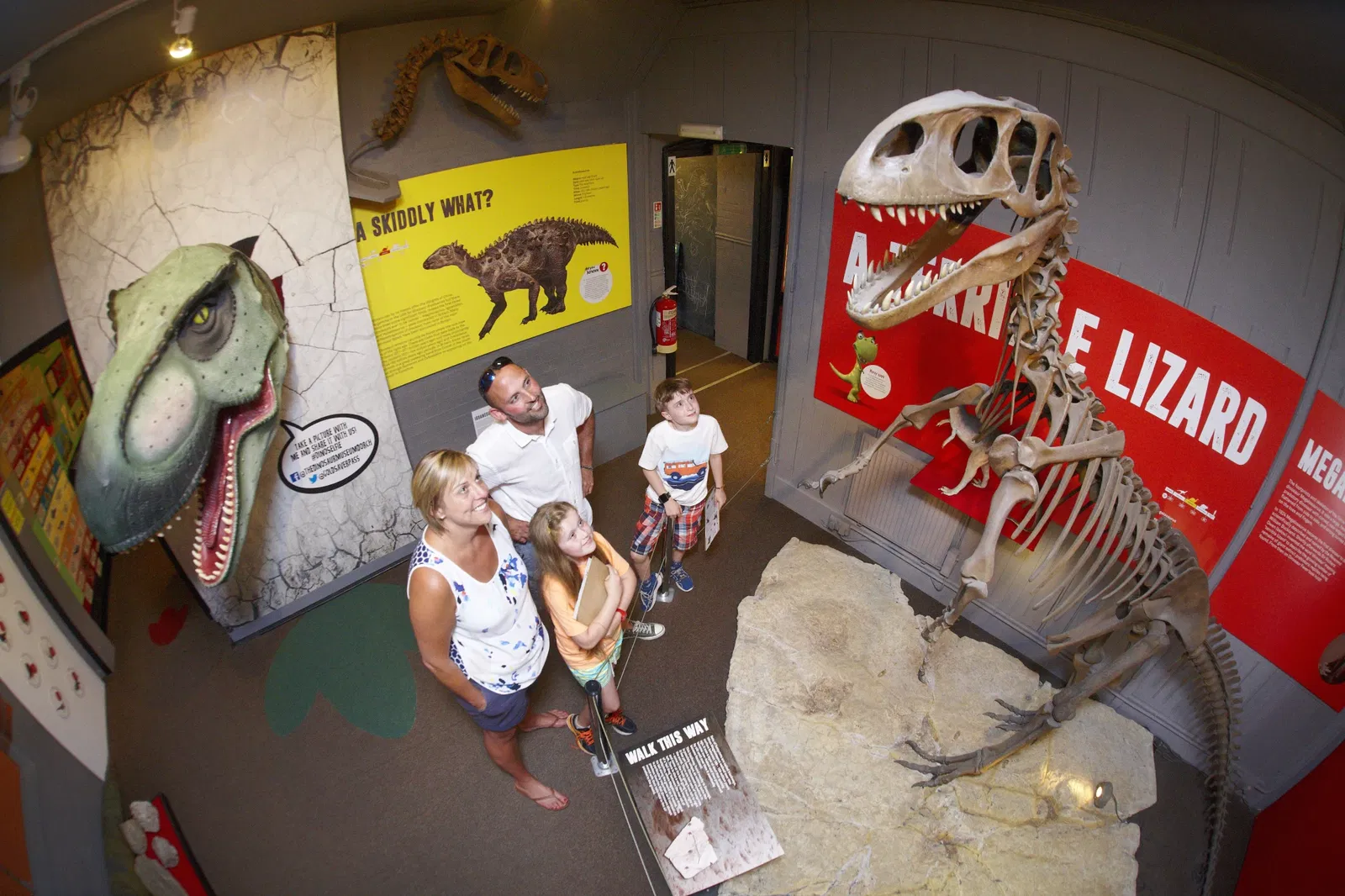 The Dinosaur Museum
