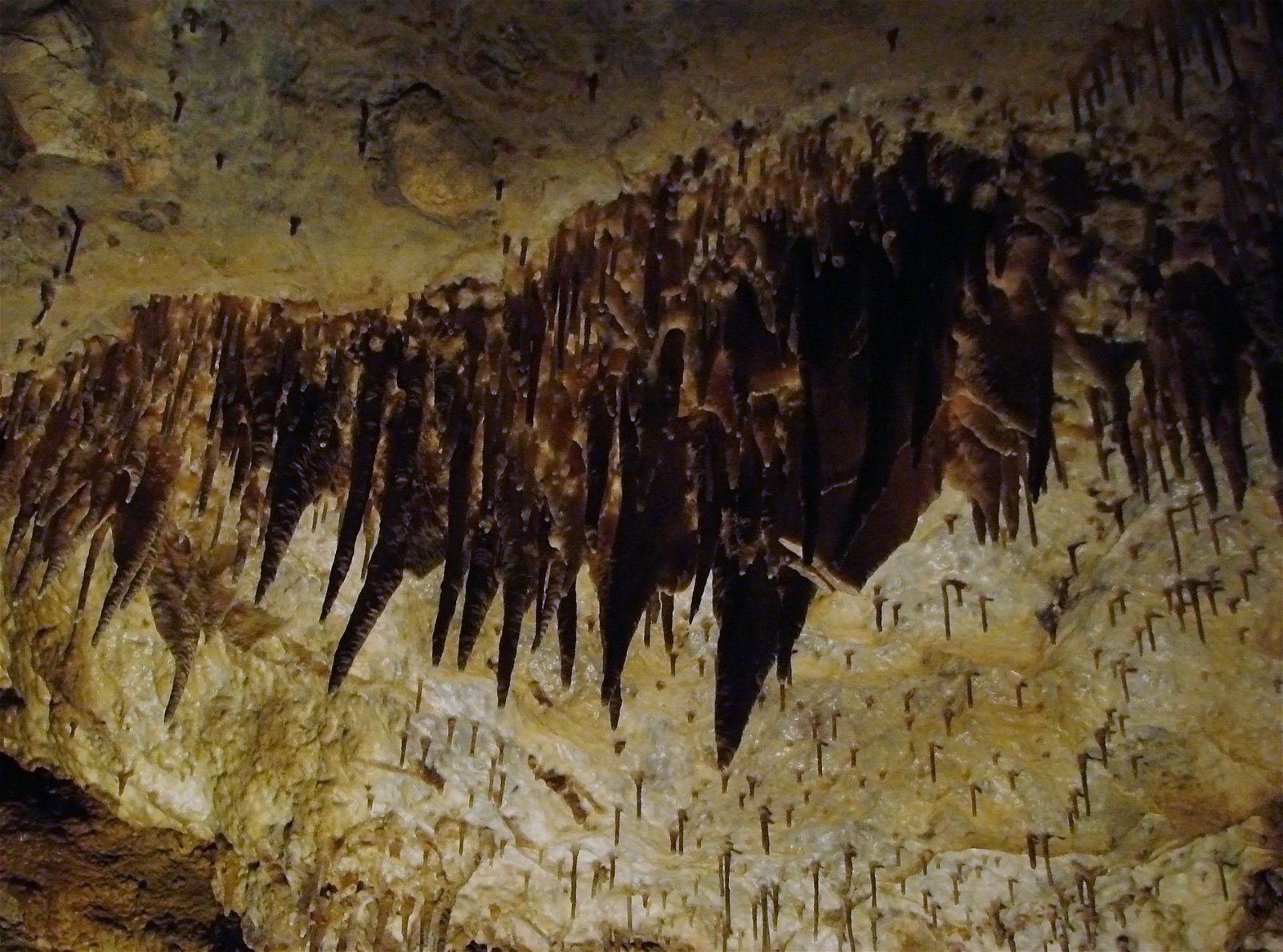 Grot in Han-sur-Lesse - Domein van de Grotten van Han