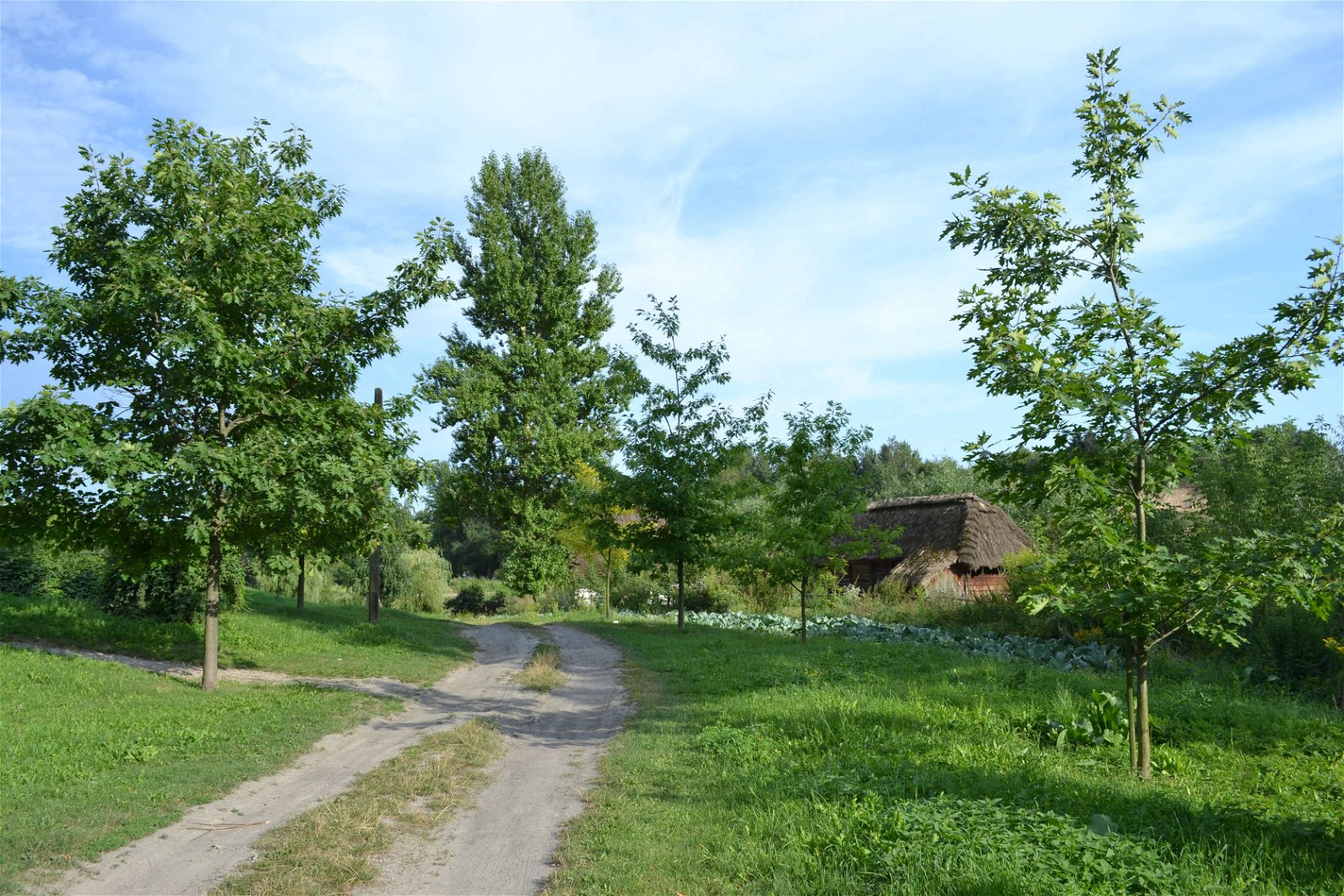 The Open Air Village Museum in Lublin