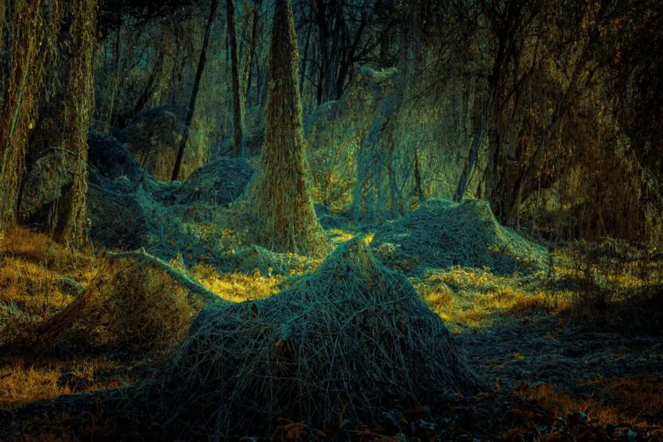 Aesthetica Art Prize 2025