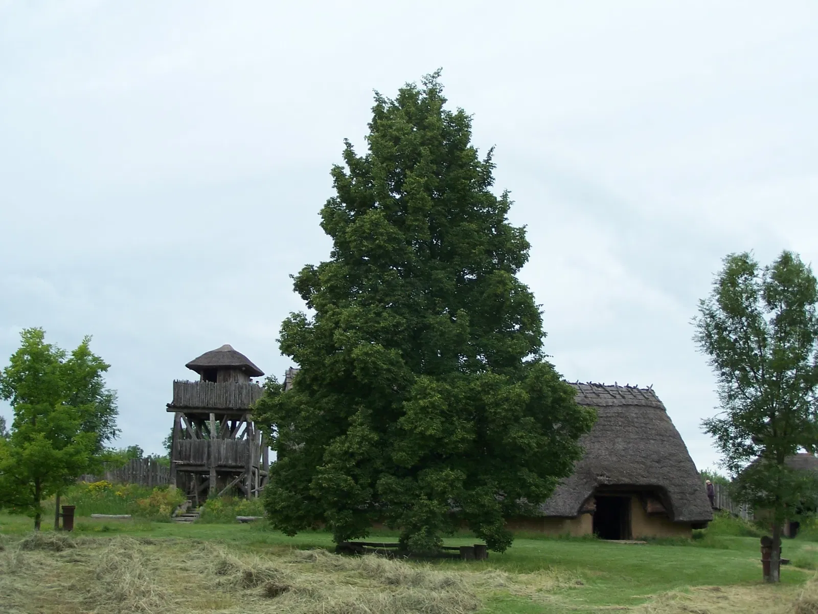 Funkenburg Westgreußen