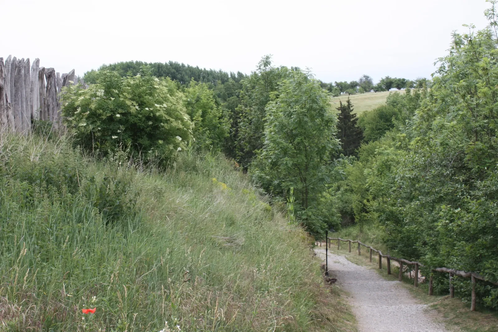 Funkenburg Westgreußen