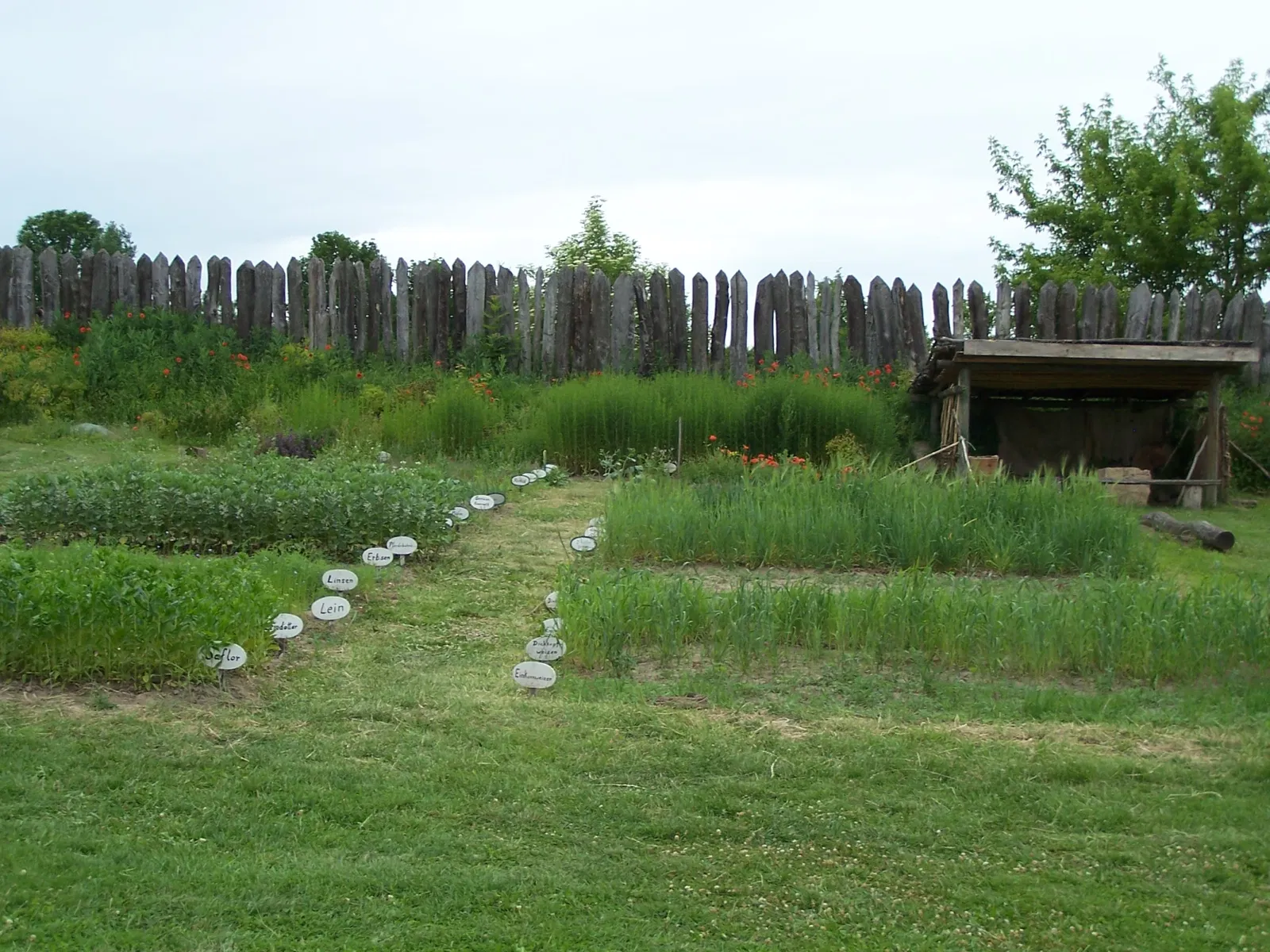 Funkenburg Westgreußen