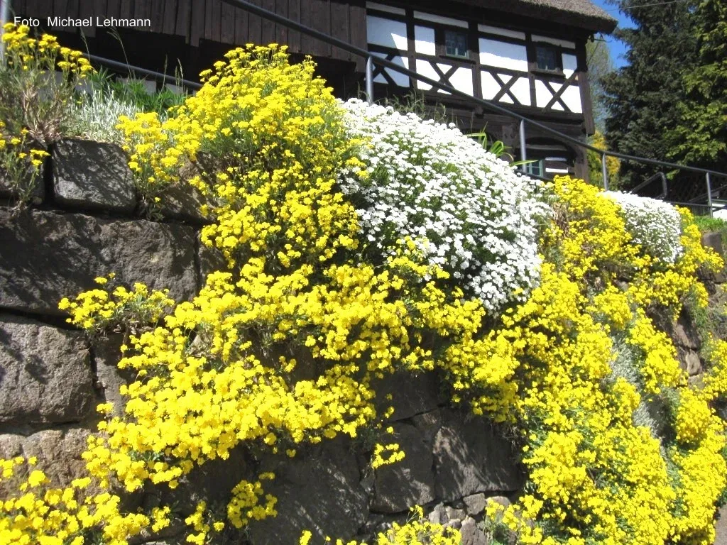 Reiterhaus Neusalza-Spremberg