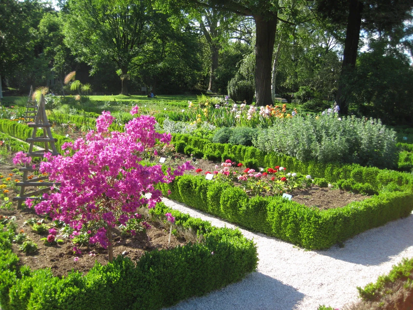 Jardín botánico de la Arquebuse