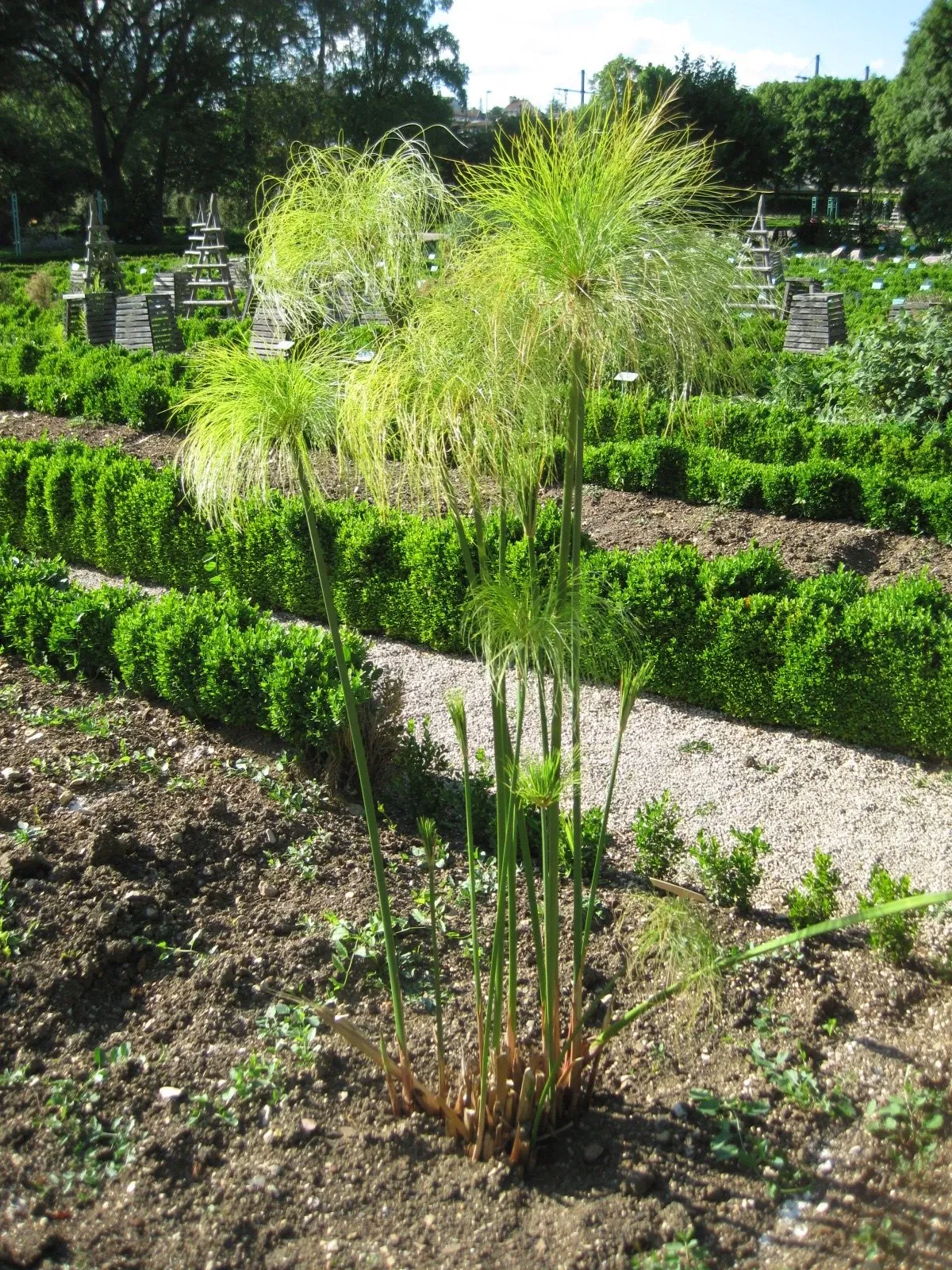 Jardin Botanique de l'Arquebuse