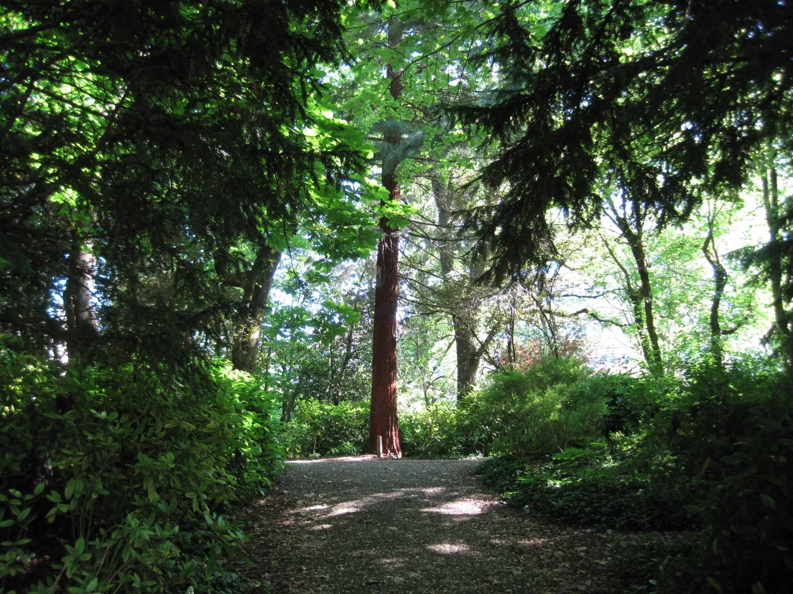 Jardin Botanique de l'Arquebuse