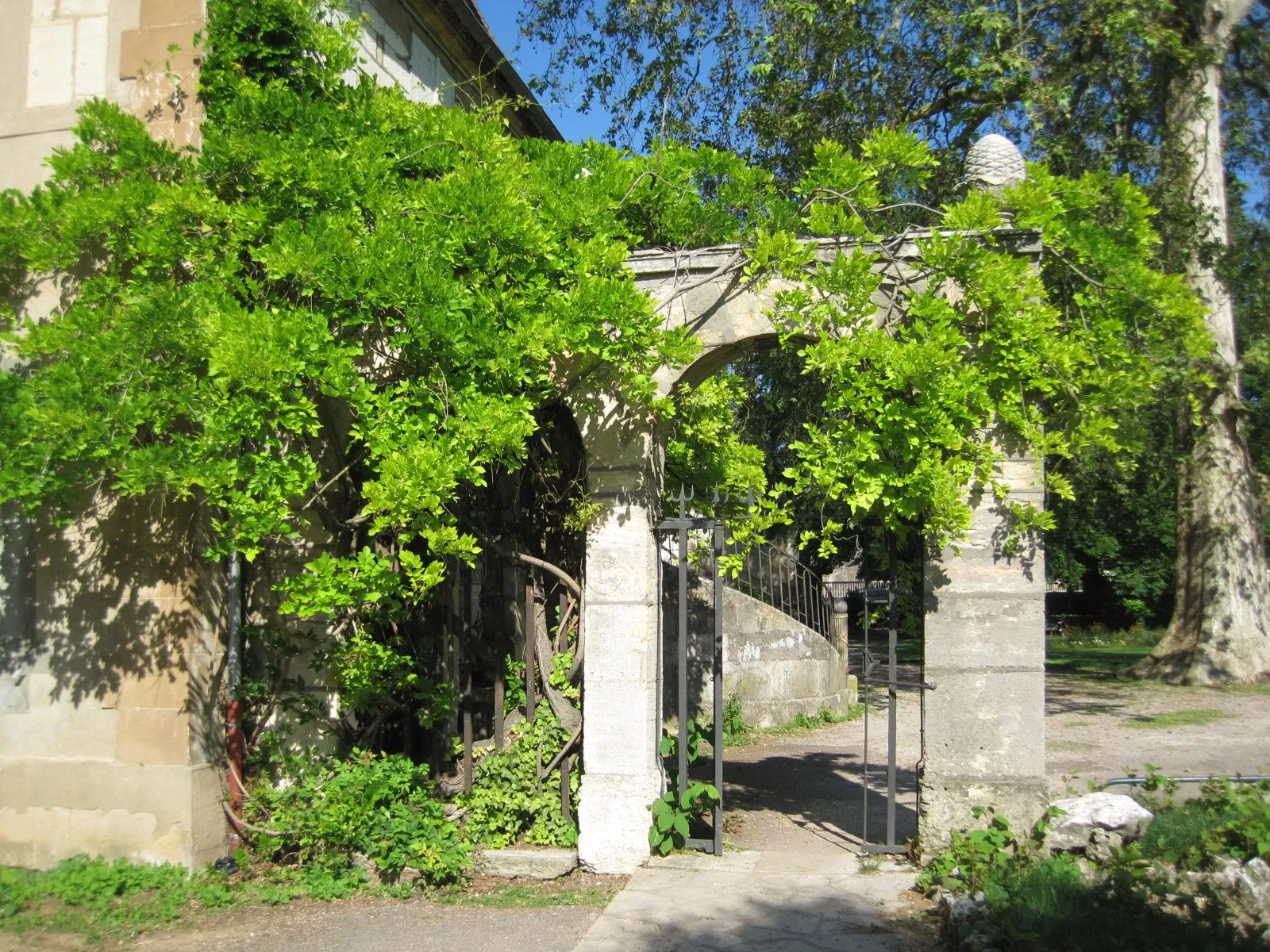 Jardín botánico de la Arquebuse