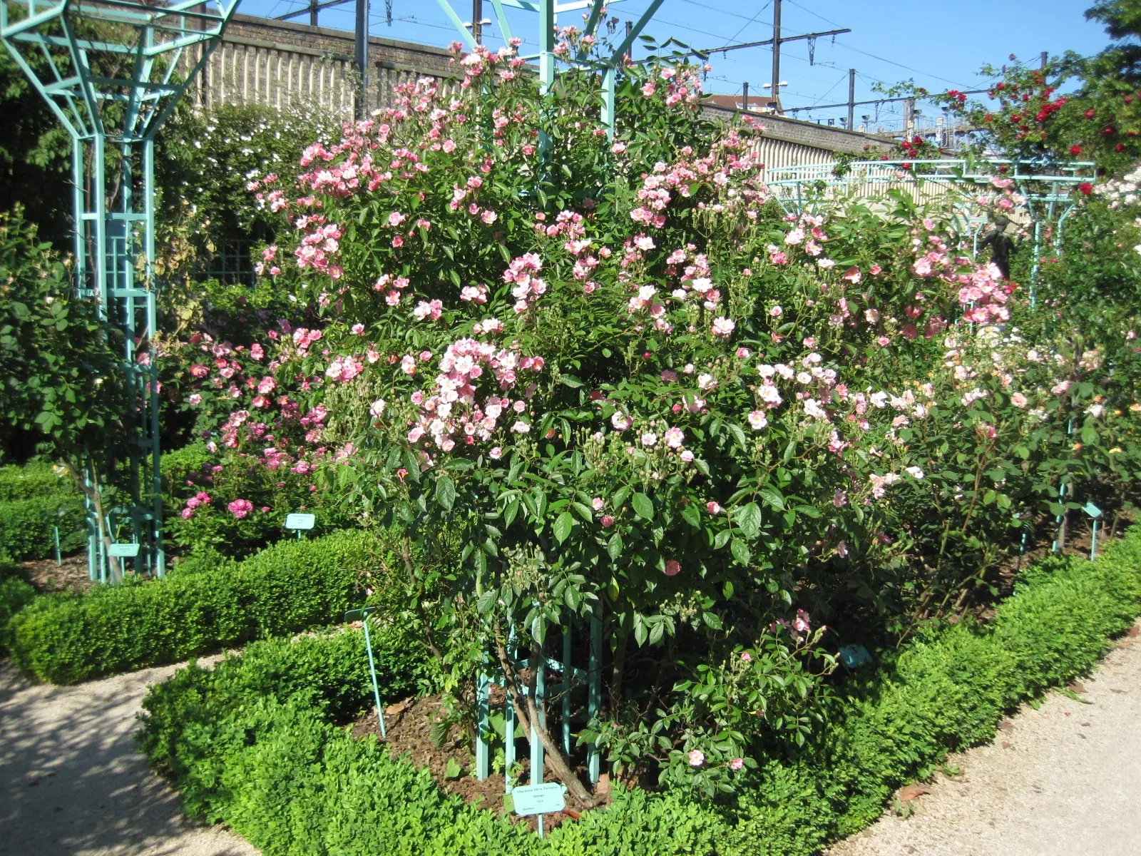 Jardín botánico de la Arquebuse