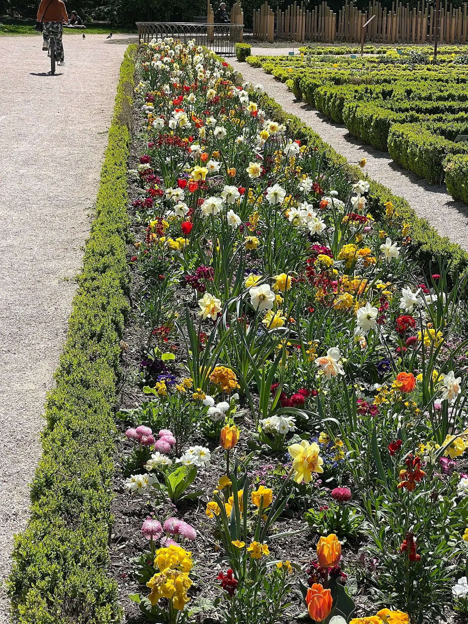Jardín botánico de la Arquebuse