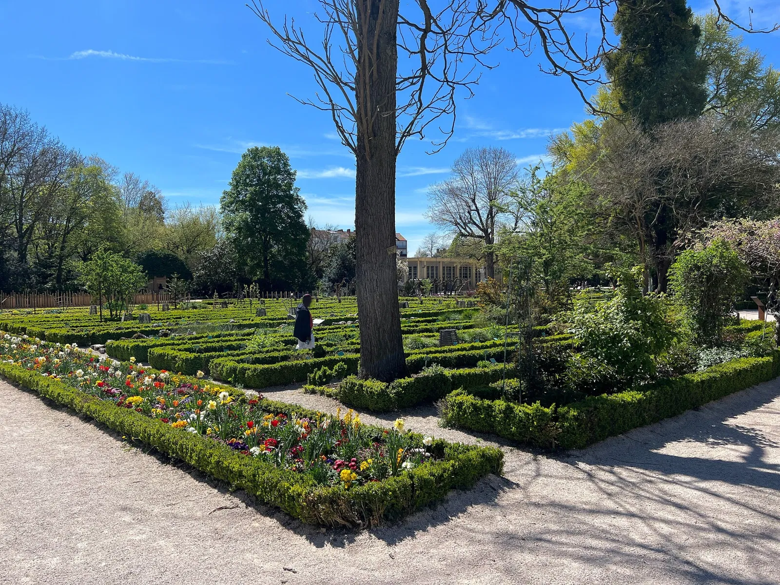 Jardín botánico de la Arquebuse