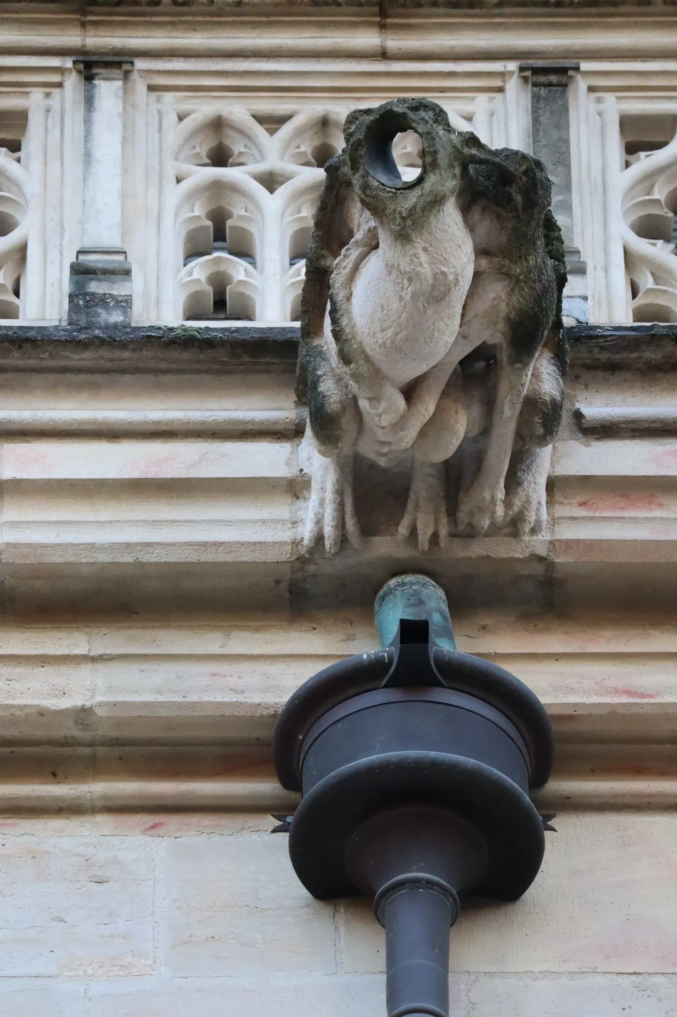 Palazzo Ducale (Digione)