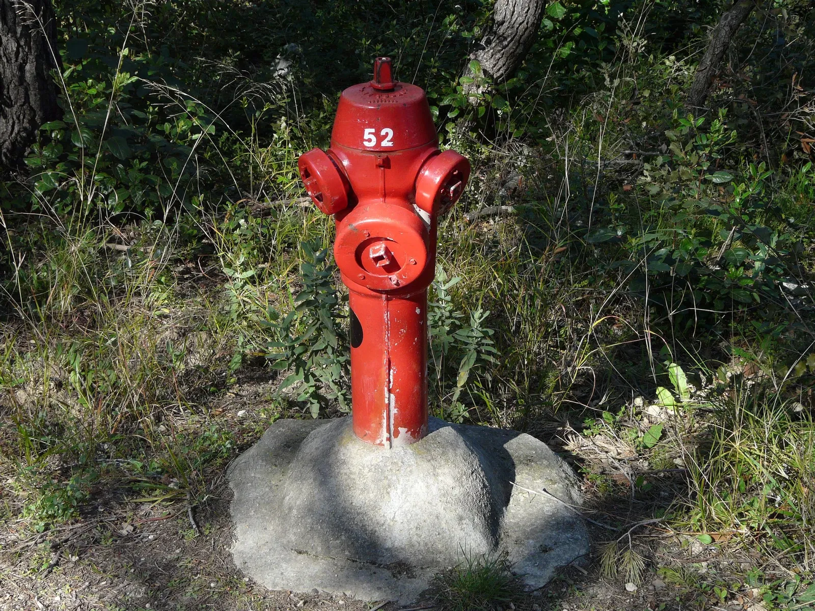 Parc Zoologique de Montpellier