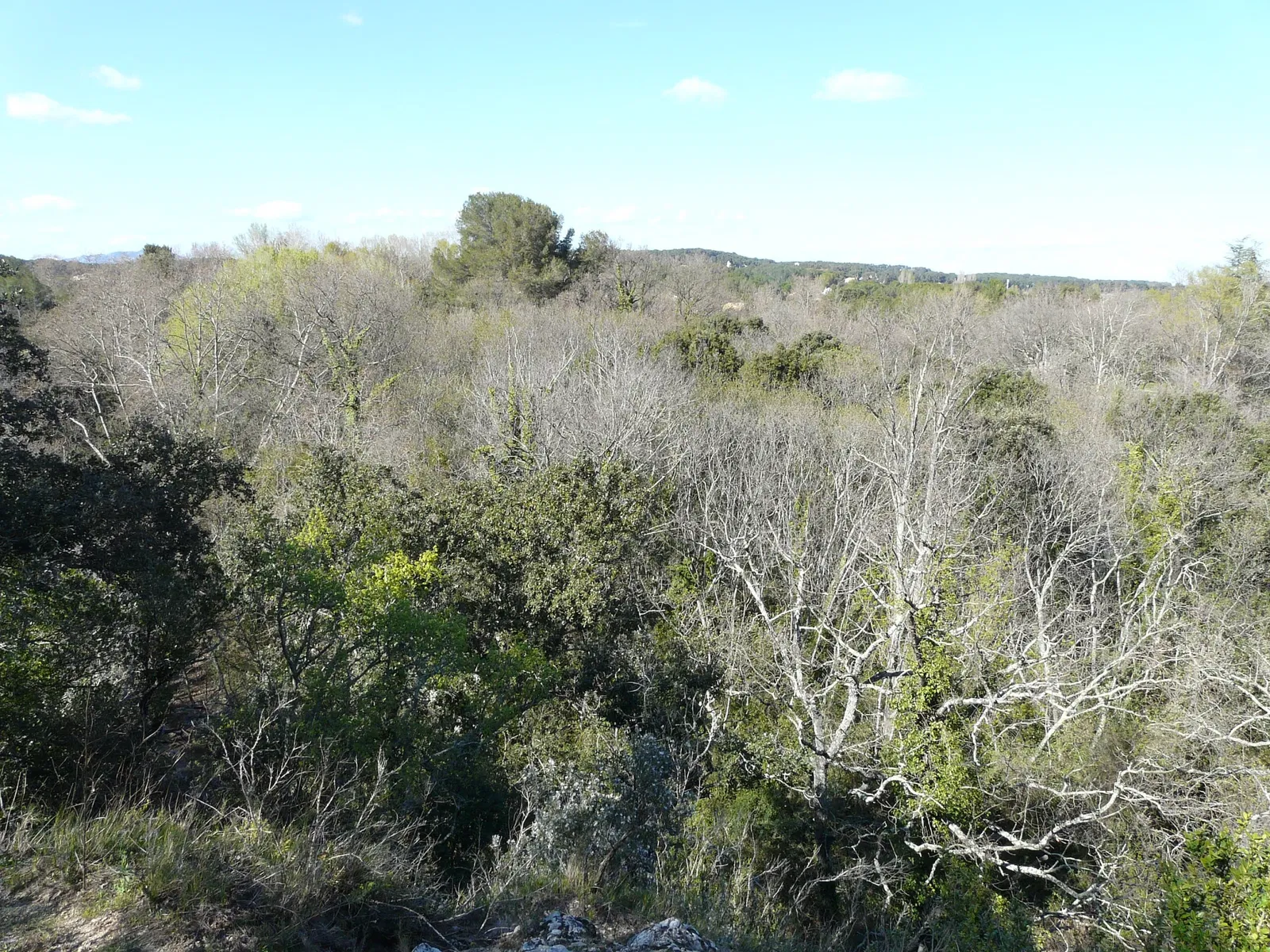 Parque zoológico de Montpellier