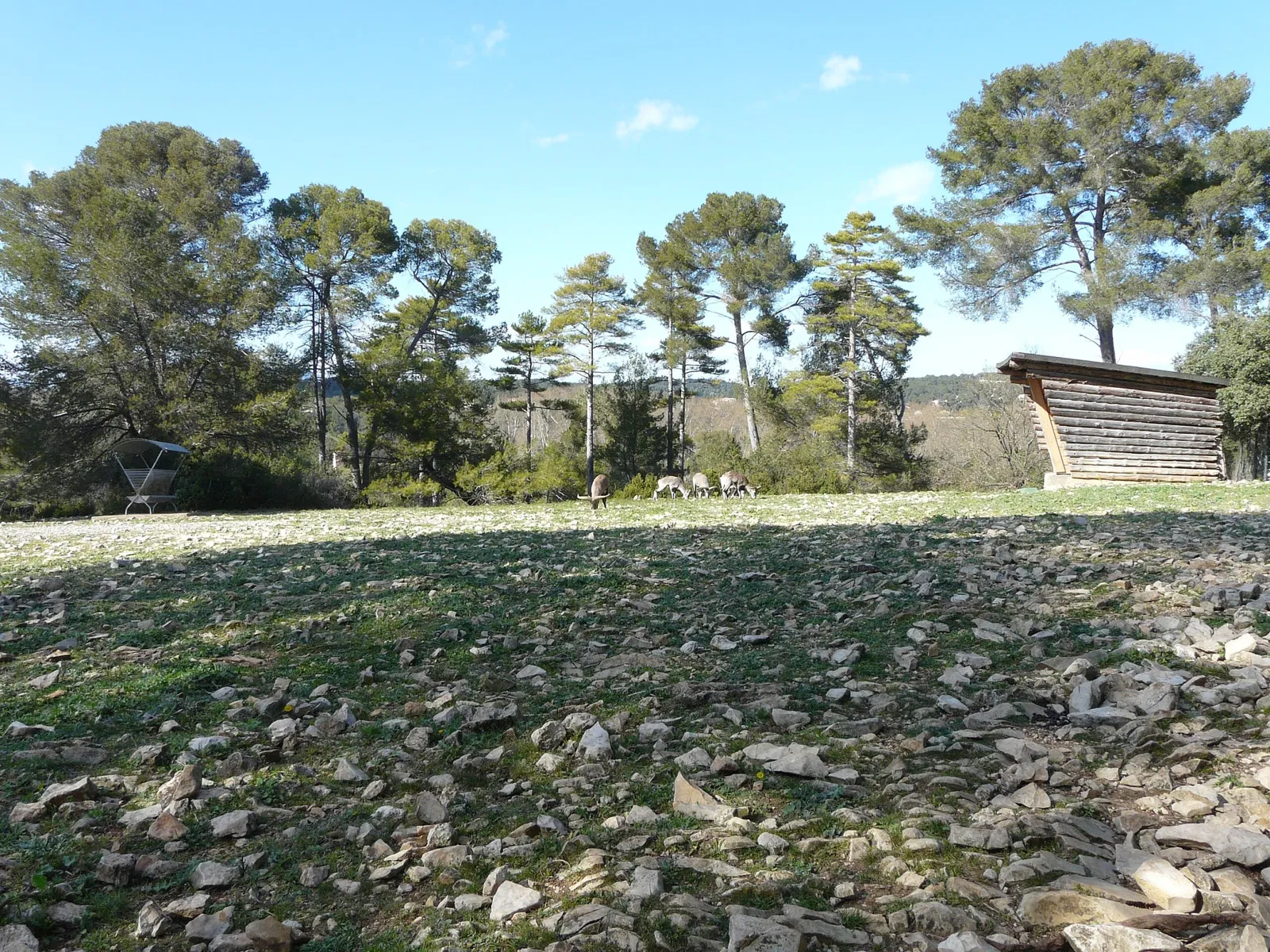 Montpellier Zoological Park