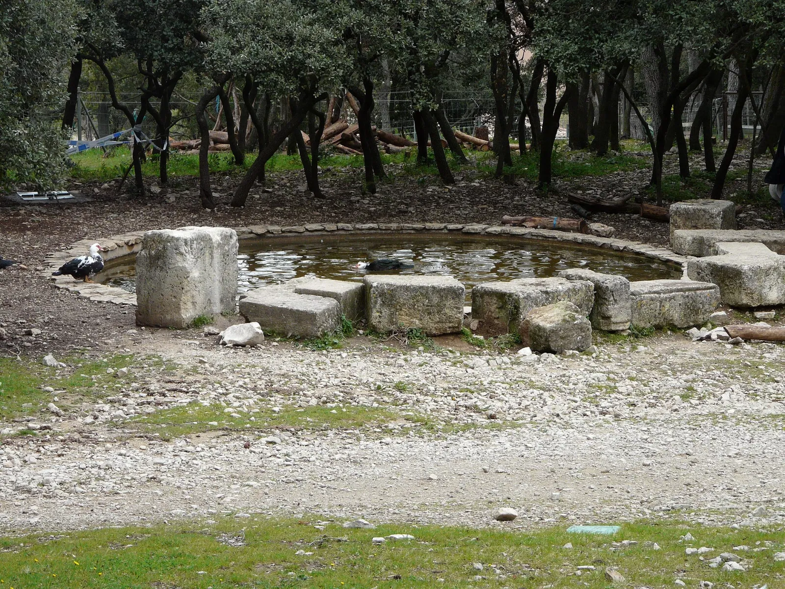 Montpellier Zoological Park