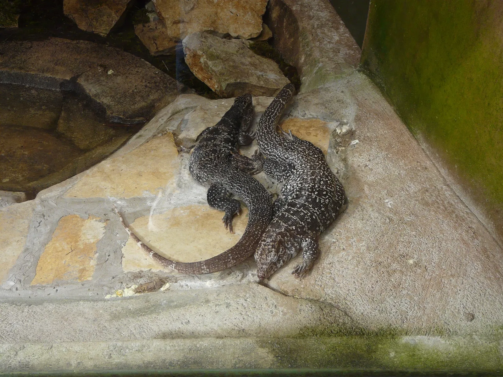 Montpellier Zoological Park