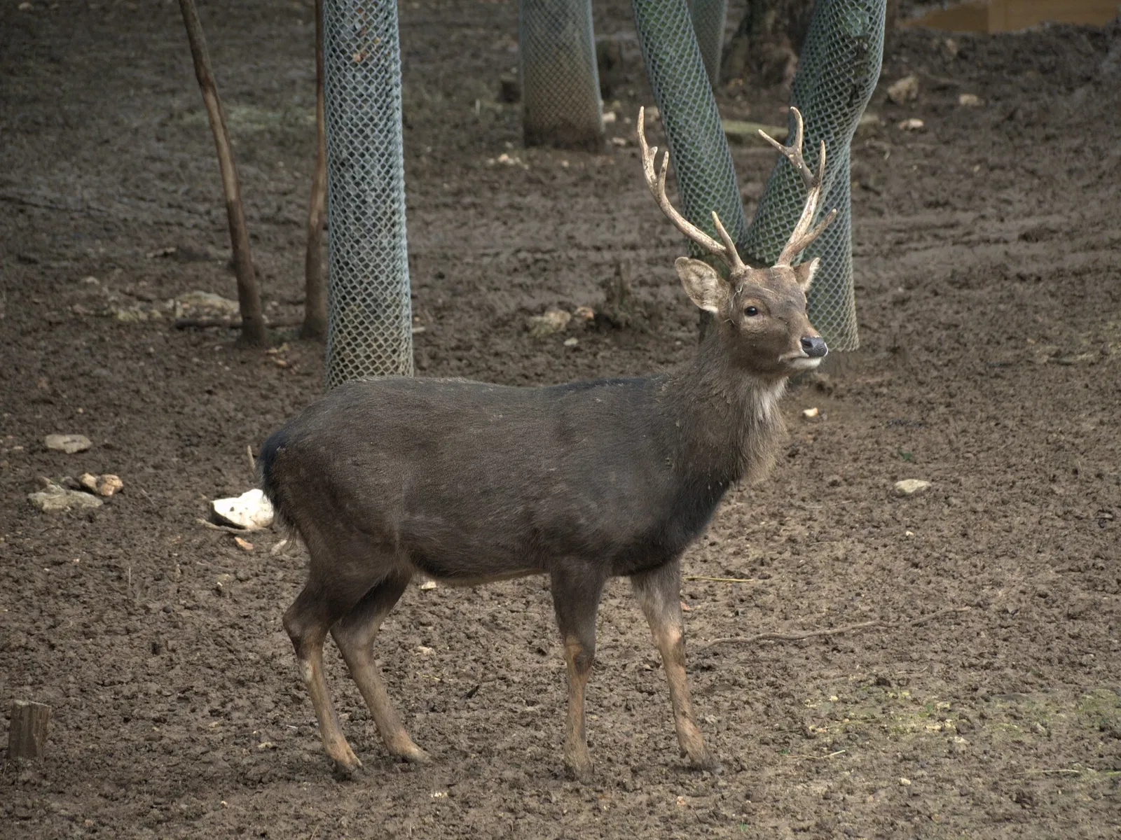 Parc Zoologique de Montpellier