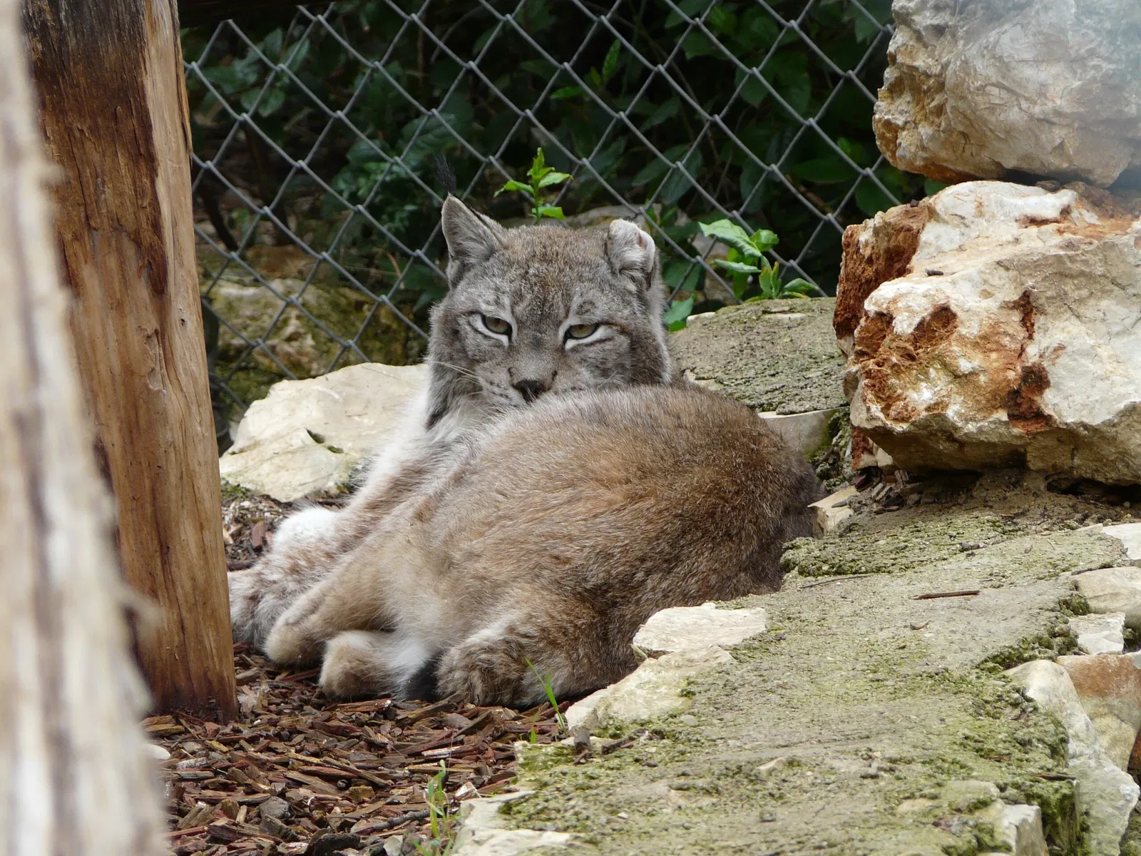 Montpellier Zoological Park