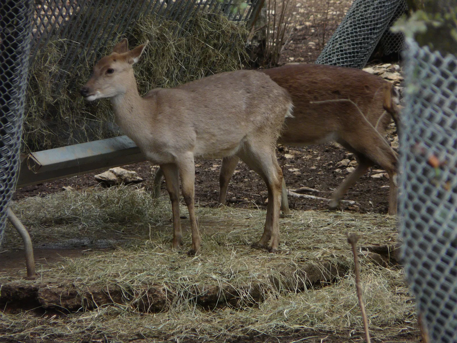 Parc Zoologique de Montpellier