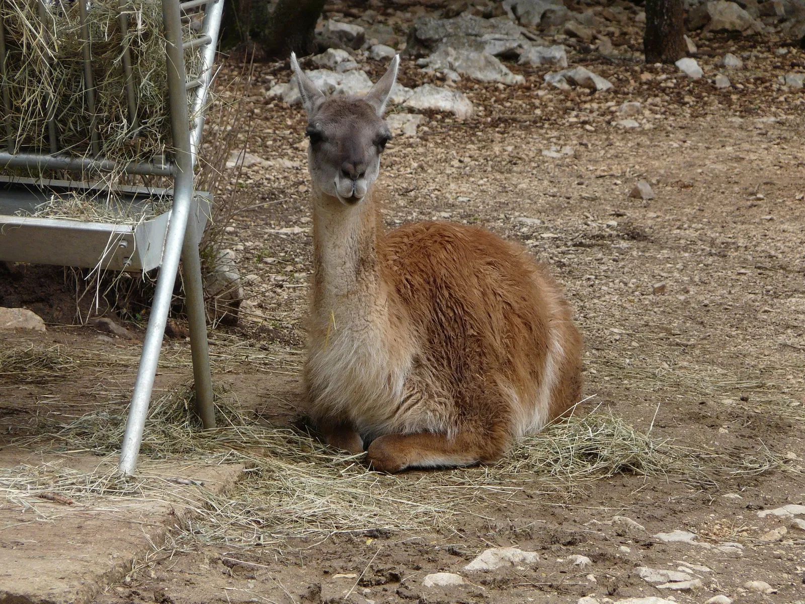 Parc Zoologique de Montpellier
