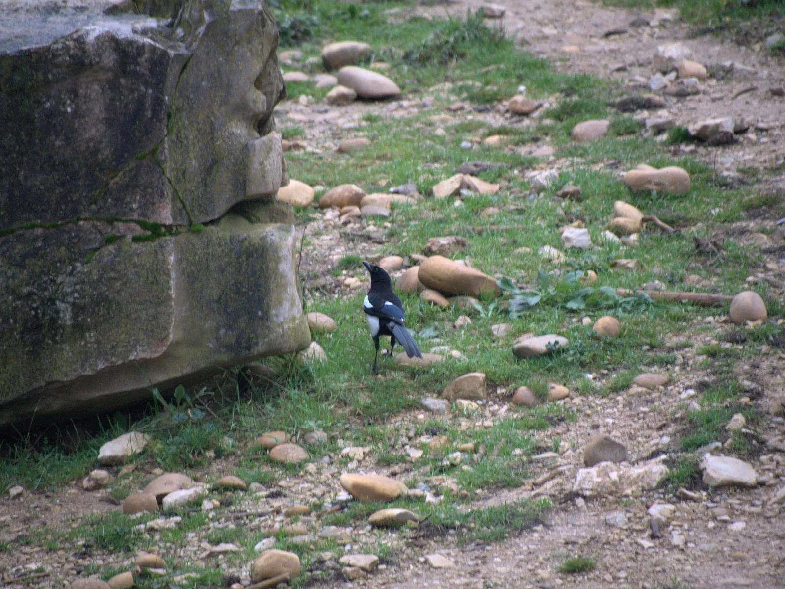 Montpellier Zoological Park