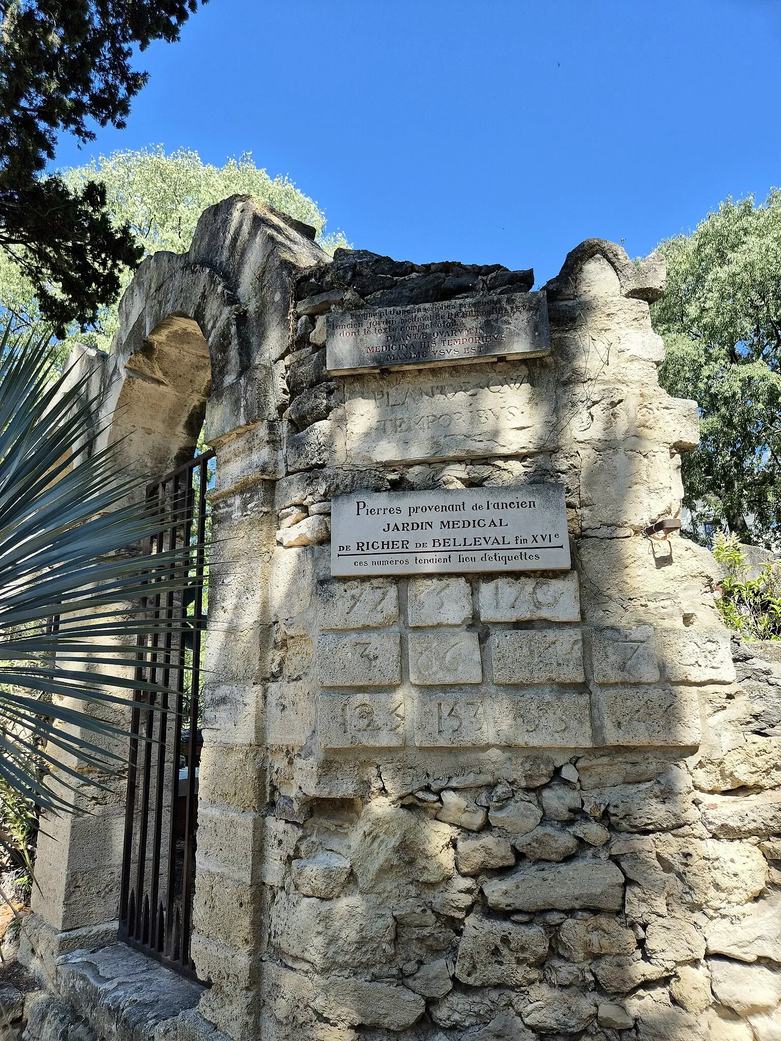 Jardín de plantas de Montpellier