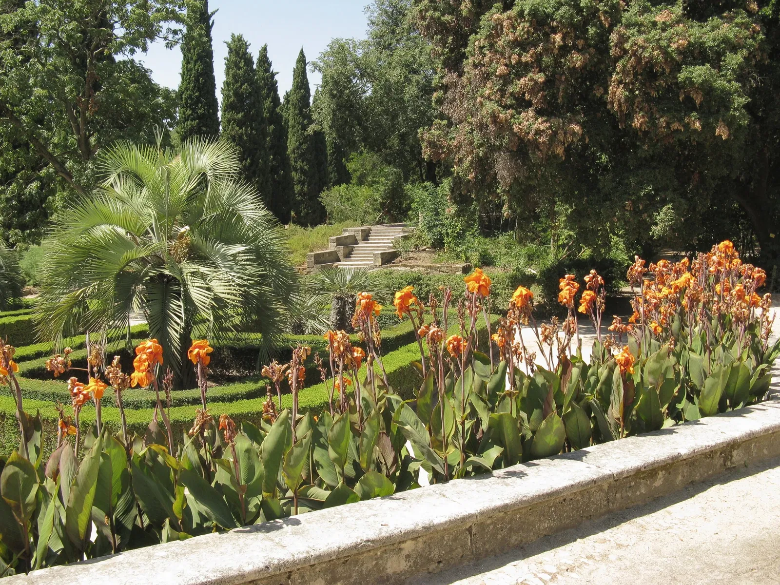 Jardin des plantes de Montpellier