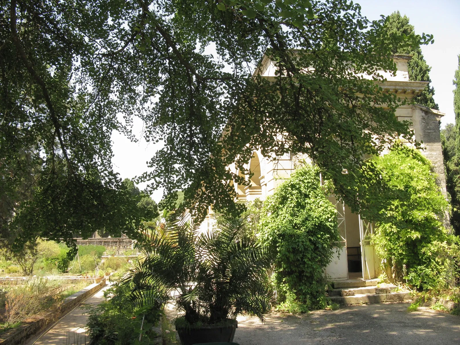 Orto botanico di Montpellier